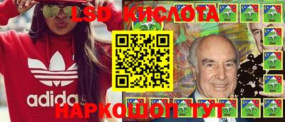 мдпв Новозыбков