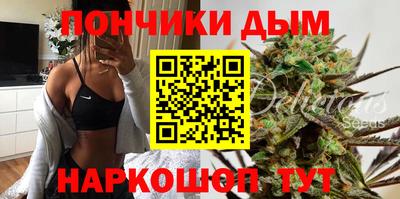мдпв Новозыбков