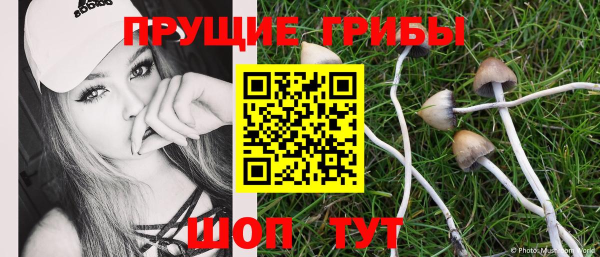 Семёнов  Псилоцибиновые грибы ЛСД  Вход с VPN 